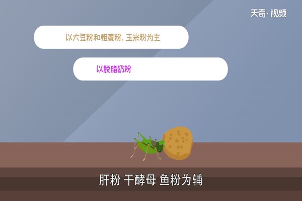 蛐蛐吃什么 蛐蛐是什么昆虫