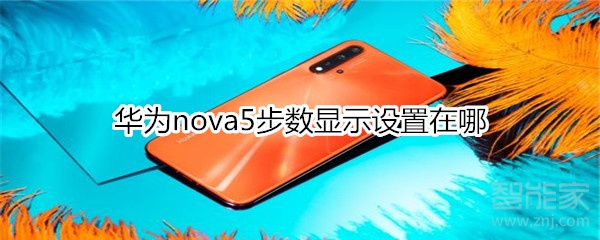 华为nova5步数显示设置在哪