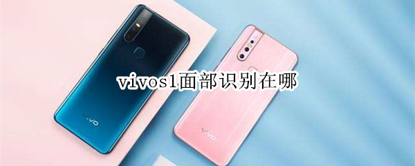 vivos1面部识别在哪