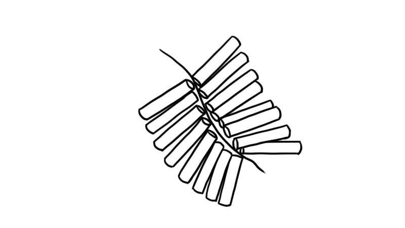 鞭炮简笔画