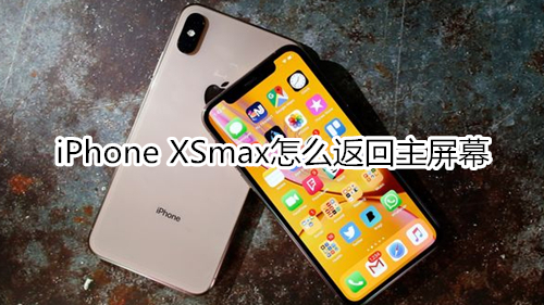 iPhone XSmax怎么返回主屏幕