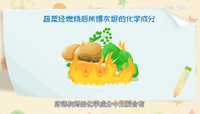 什么是碱性蔬菜 碱性蔬菜是什么