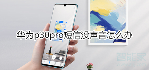 华为p30pro短信没声音怎么办