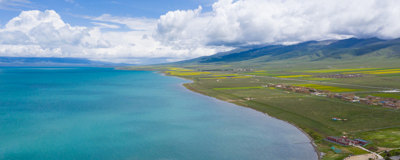 青海湖为什么只有一种鱼 青海湖只有一种鱼吗