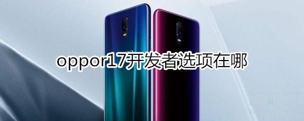 oppor17开发者选项在哪