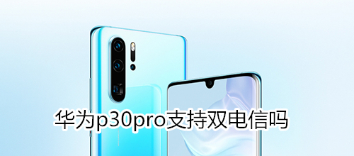 华为p30pro支持双电信吗