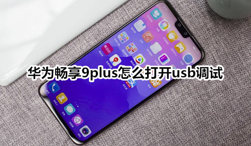 华为畅享9plus怎么打开usb调试