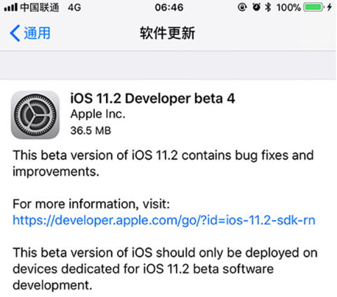 iOS11.2（ios11.2.6完美越狱）