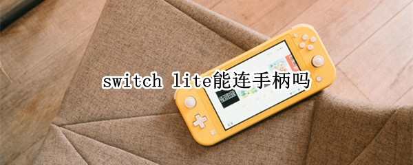switch（switch国行和日版区别）