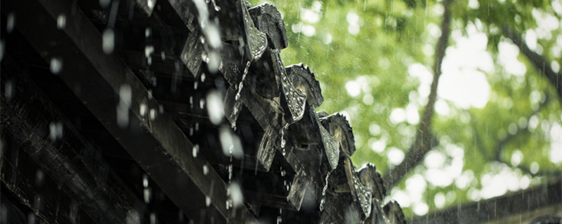 雨过至城西苏家翻译及赏析 雨过至城西苏家翻译及赏析大全