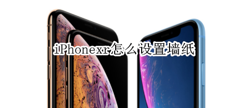 iPhonexr怎么设置墙纸