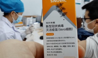 接种新冠疫苗前后禁忌 接种新冠疫苗后能喝酒吗