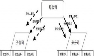 分公司与子公司的区别 怎么区别？