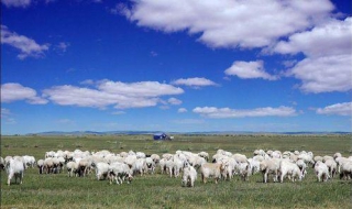 内蒙古旅游注意事项 这几点一定要清楚