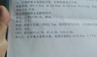 肾盂分离和性别有关吗 肾盂分离与性别的关系