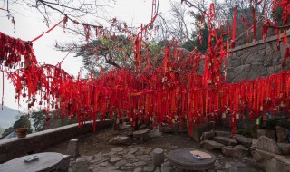 祈愿是什么意思 祈愿的意思是什么