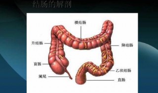 结肠癌晚期去世前症状 四个症状提示结肠癌去世前症状