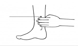 踝在什么位置 脚踝是身体一个重要部位吗