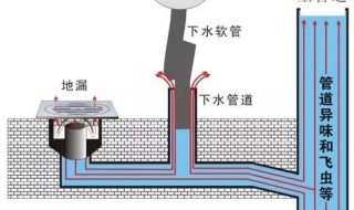 下水道反味怎么办 卫生间下水道反味怎么办