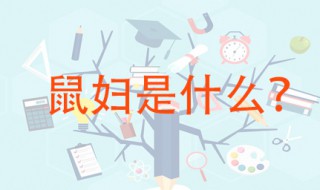 鼠妇是什么 鼠妇有什么用