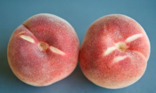 新鲜黑桃怎么保存 如何让桃子保持新鲜