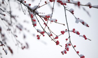 看雪心情说说 关于下雪的朋友圈