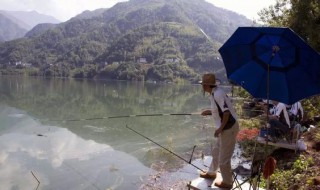 河道钓鱼的方法 河道钓鱼的方法介绍