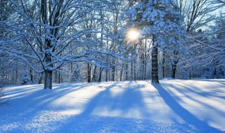 下雪天打雷是什么征兆 下雪天打雷的说法