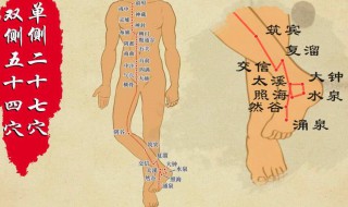 筑宾穴的位置和作用 临床运用于那些病症