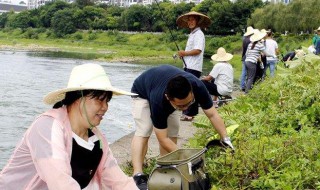 除草正确方法 怎么除草好