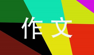 校园的早晨作文300字 一篇优秀的文章