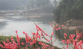 湖北十堰桃花岛的来历简介 关于湖北十堰桃花岛的来历简介