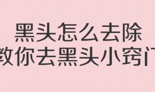 有效去鼻黑头的方法 这六种东西都有很好的效果