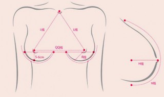 乳房最好的保养方法 乳房保养方法