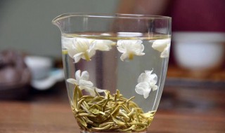 茉莉花茶属于绿茶吗 平时可以多喝些