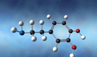 多巴胺的功效与作用 多巴胺的功效与作用是什么