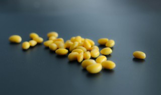 嫩黄豆怎么做酸豆 酸黄豆正宗做法