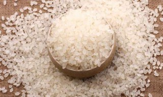 籼米和粳米的区别 籼米和粳米的区别是什么