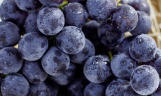 种植葡萄始于 种植葡萄始于先秦时期