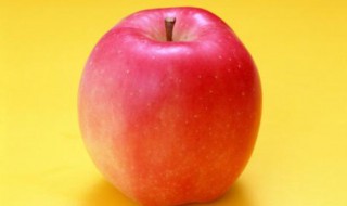 苹果怎么种才是正确的 苹果如何种植