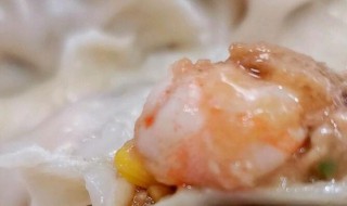 虾仁水饺的做法 虾仁水饺如何做