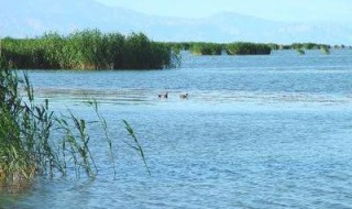 中国有几大淡水湖 五大淡水湖