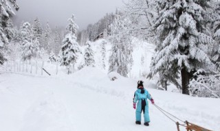 大雪过后为什么感觉格外寂静 寂静的原因介绍