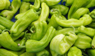 青椒的贮存方法 怎么正确保存青椒