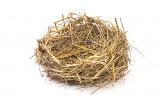 稻草编鸟窝方法 小鸟筑巢有什么作用