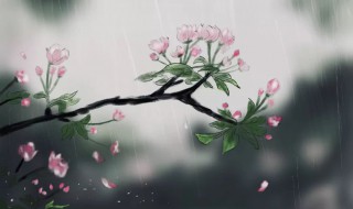 春风桃李花开日秋雨梧桐叶落时求这句话的意思 春风桃李花开日秋雨梧桐叶落时的含义