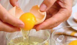 蛋制品的贮存方法 怎么储存蛋制品