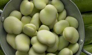 在家种蚕豆的方法 怎么在家种植蚕豆