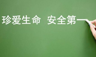 生命安全手抄报简单内容 生命安全的资料有哪些