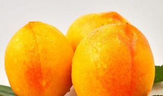 黄桃怎么保存的时间长 保管黄桃的窍门